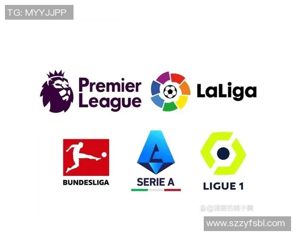 西甲联赛“会会”指什么？球迷互动平台介绍